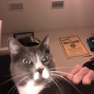 Meet your Posher, Jacob